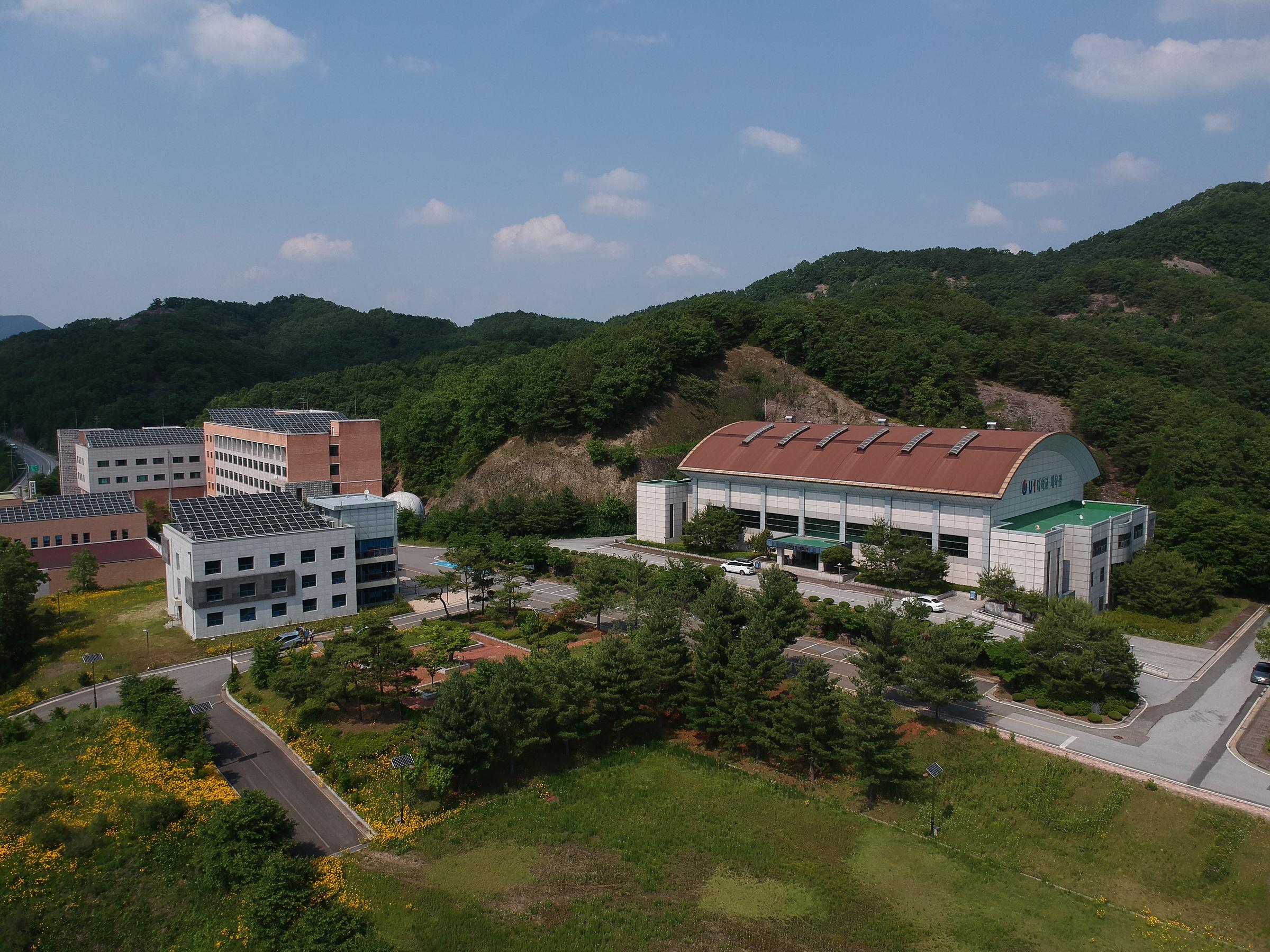 Department of Paramedicine